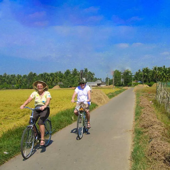 Biking Biking