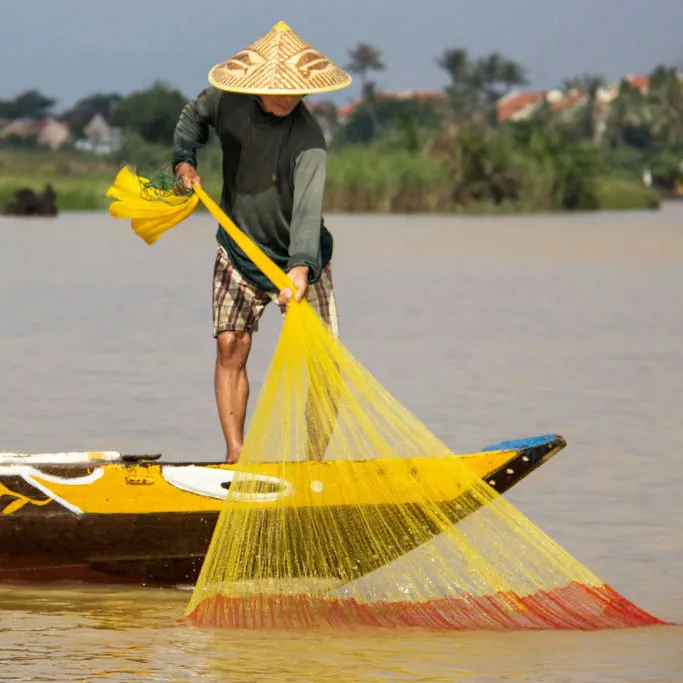 vn vn